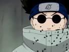 shino aburame este coleg de echipa cu hinata si cu kiba.el este foarte in a folosi insecte si